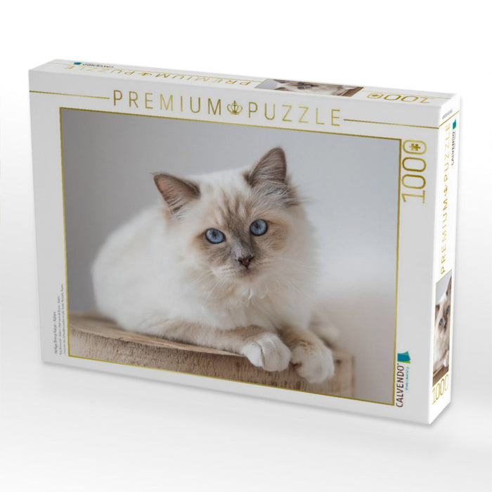 Heilige Brima Katze - Kalani - CALVENDO Foto-Puzzle'