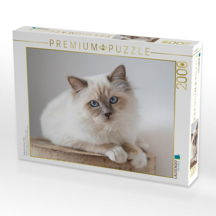 Heilige Brima Katze - Kalani - CALVENDO Foto-Puzzle'