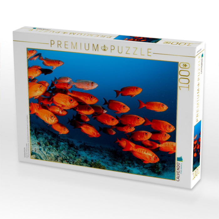 Soldatenfische - CALVENDO Foto-Puzzle'