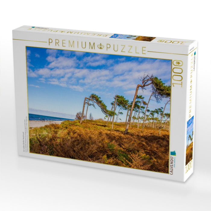 Am wilden Darßer Weststrand - CALVENDO Foto-Puzzle'