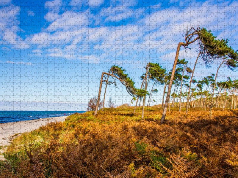 Am wilden Darßer Weststrand - CALVENDO Foto-Puzzle'