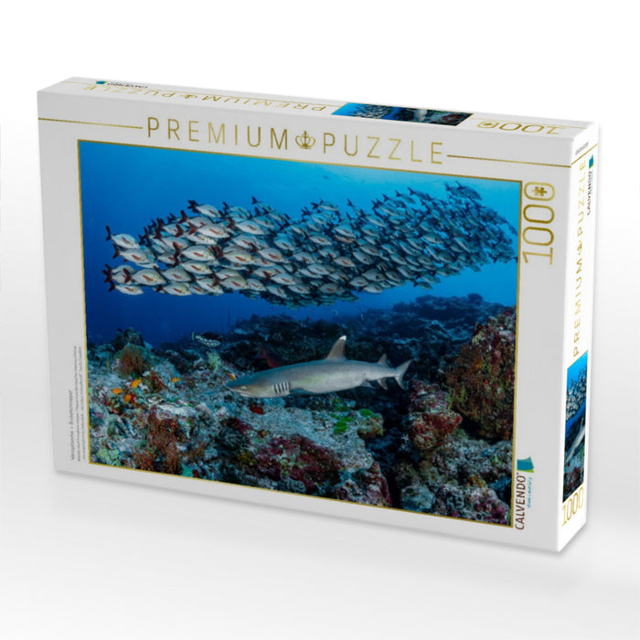 Weisspitzenhai + Buckelschnapper - CALVENDO Foto-Puzzle'