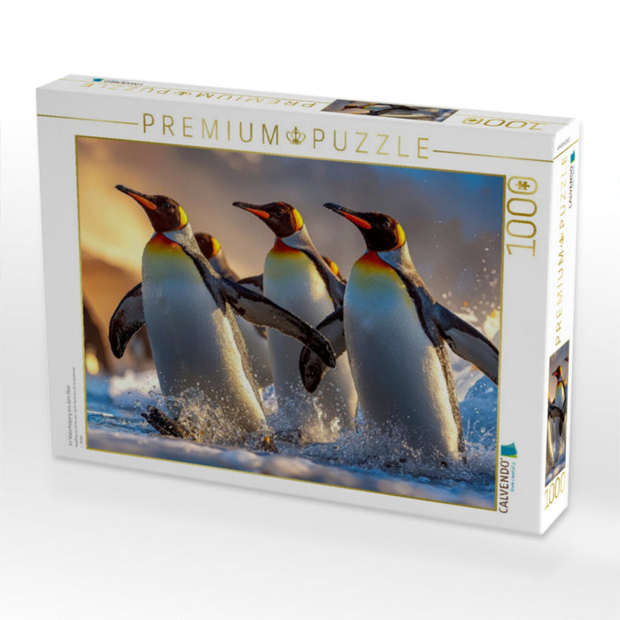 Im Watschelgang aus dem Meer - CALVENDO Foto-Puzzle'