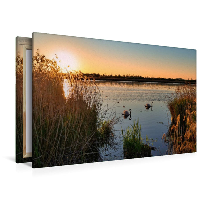 Premium Textil-Leinwand Federsee Ried