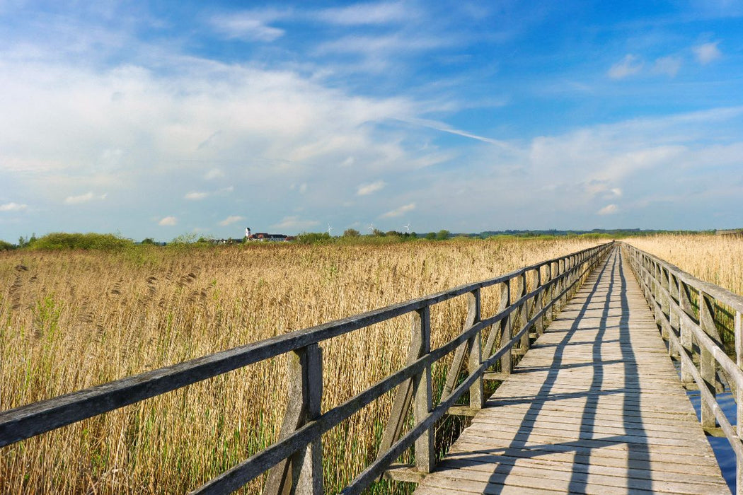 Premium Textil-Leinwand Federsee Ried