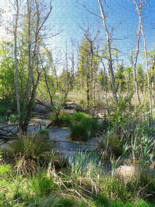 Steinacher Ried - CALVENDO Foto-Puzzle'