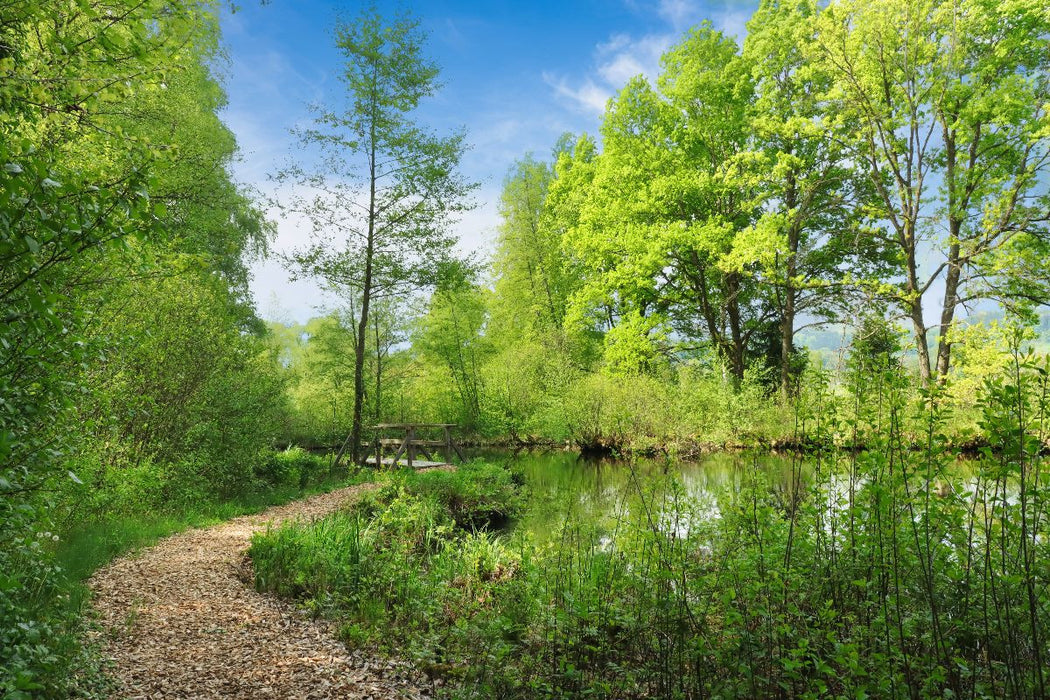 Premium Textil-Leinwand Pfrunger-Burgweiler Ried