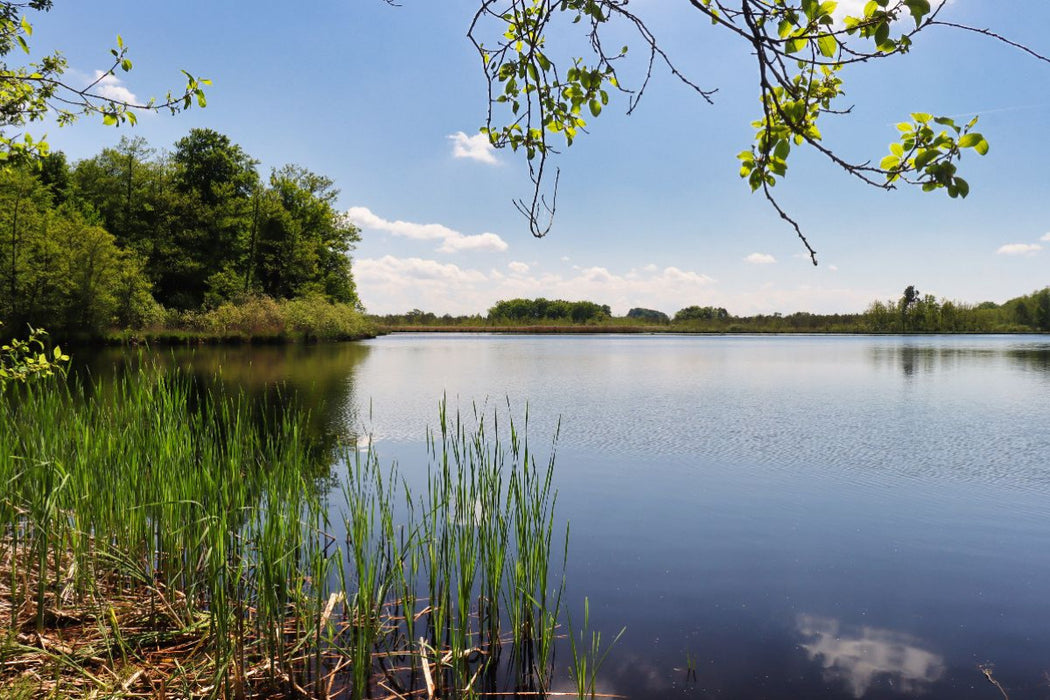 Premium Textil-Leinwand Dornacher Ried