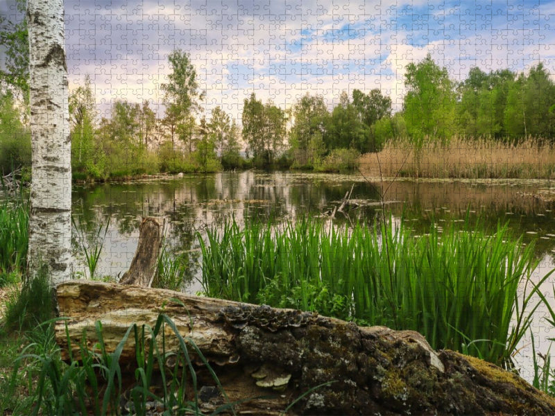 Pfrunger-Burgweiler Ried - CALVENDO Foto-Puzzle'