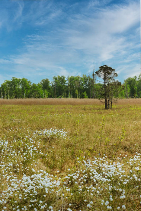 Premium Textil-Leinwand Pfrunger-Burgweiler Ried