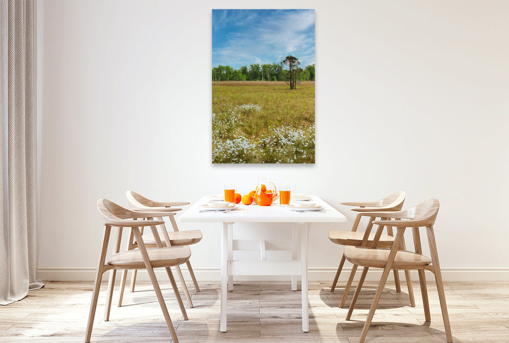 Premium Textil-Leinwand Pfrunger-Burgweiler Ried