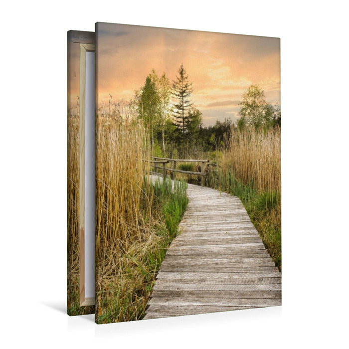 Premium Textil-Leinwand Holzweg durchs Moor