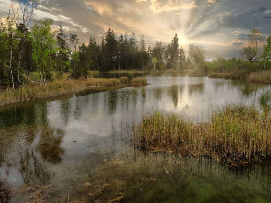 Wurzacher Ried - CALVENDO Foto-Puzzle'