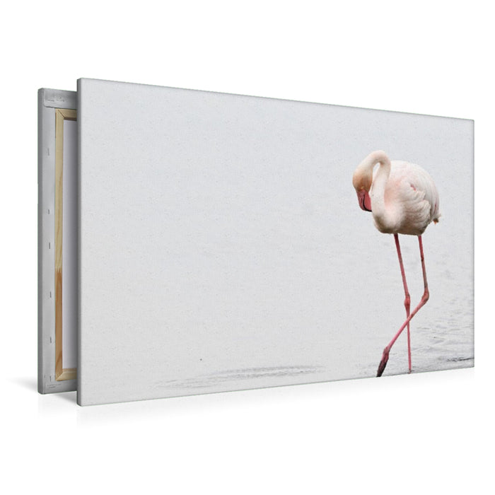 Premium Textil-Leinwand Flamingo