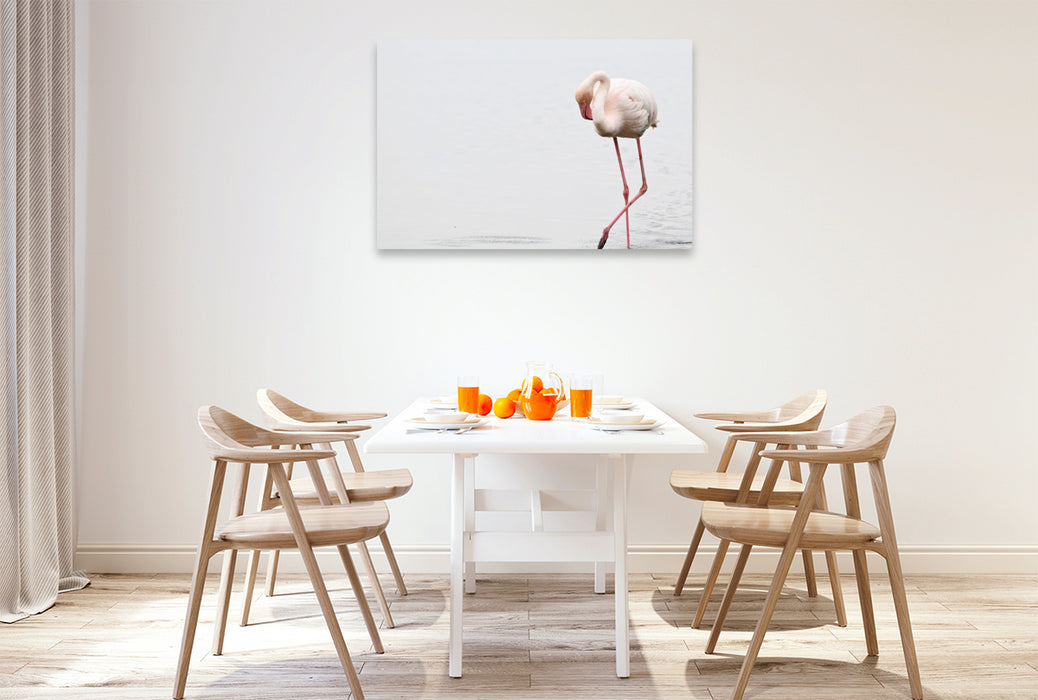 Premium Textil-Leinwand Flamingo