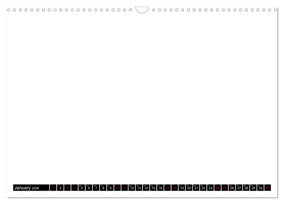 asdfasdf (CALVENDO Wandkalender 2026)