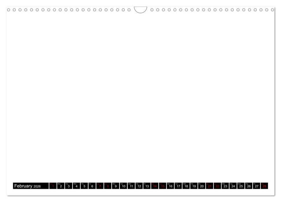 asdfasdf (CALVENDO Wandkalender 2026)