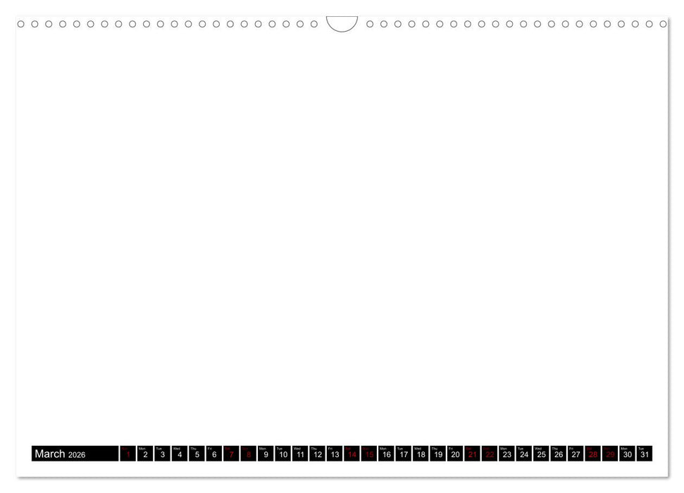 asdfasdf (CALVENDO Wandkalender 2026)