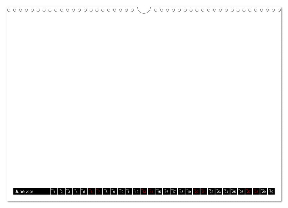 asdfasdf (CALVENDO Wandkalender 2026)