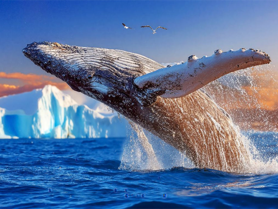 Mit Eleganz hoch hinaus - CALVENDO Foto-Puzzle'