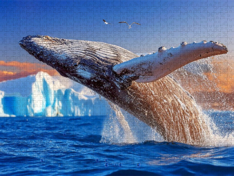 Mit Eleganz hoch hinaus - CALVENDO Foto-Puzzle'