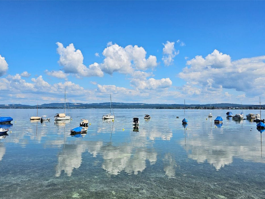 Boote auf dem Bodensee - CALVENDO Foto-Puzzle'