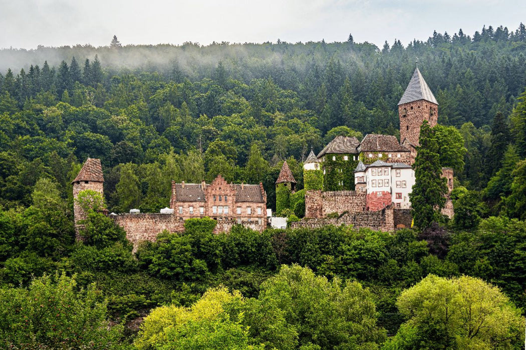 Premium Textil-Leinwand Burg Zwingenberg