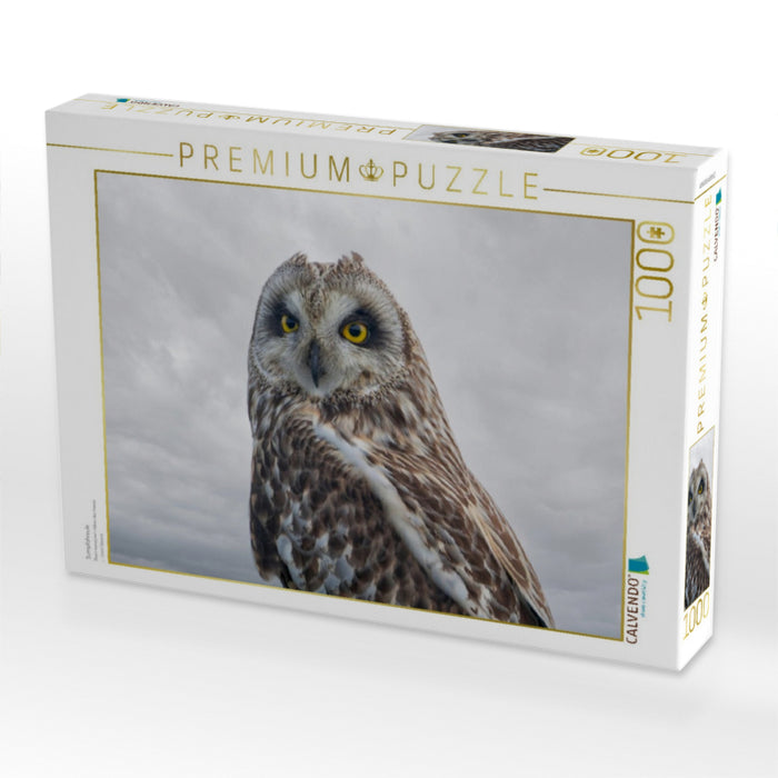 Sumpfohreule - CALVENDO Foto-Puzzle'