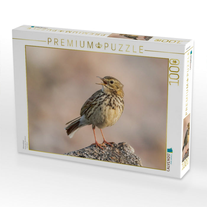 Wiesenpieper - CALVENDO Foto-Puzzle'