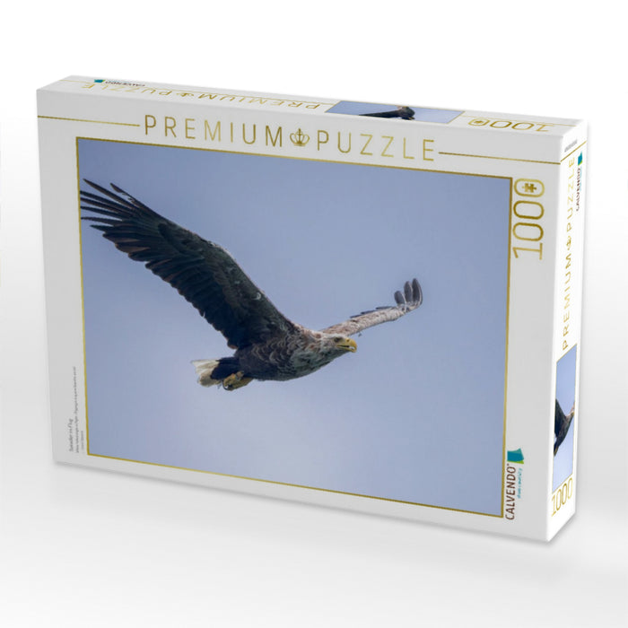 Seeadler im Flug - CALVENDO Foto-Puzzle'