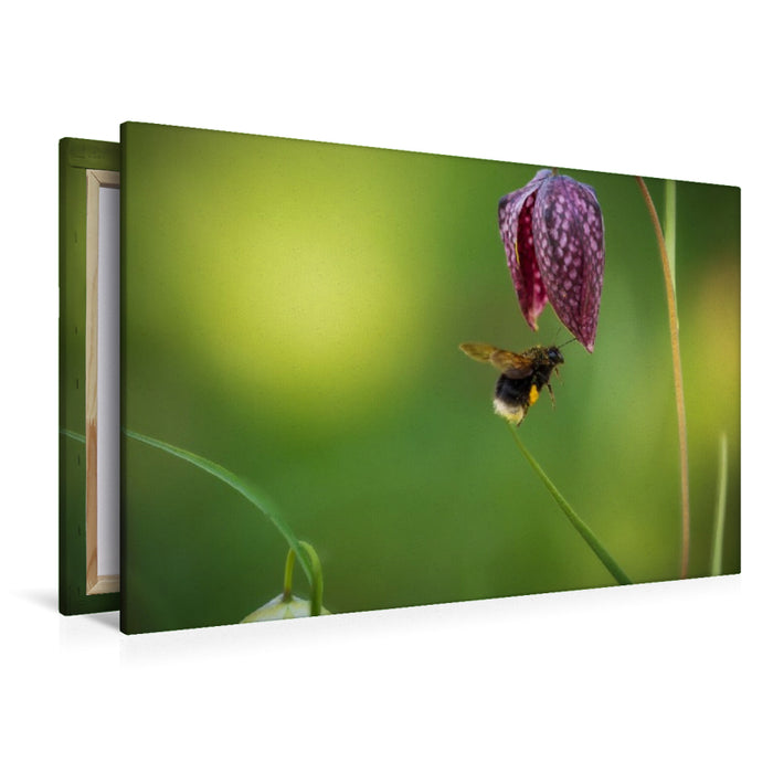 Premium Textil-Leinwand Rendez-Vous mit einer Schachbrettblume