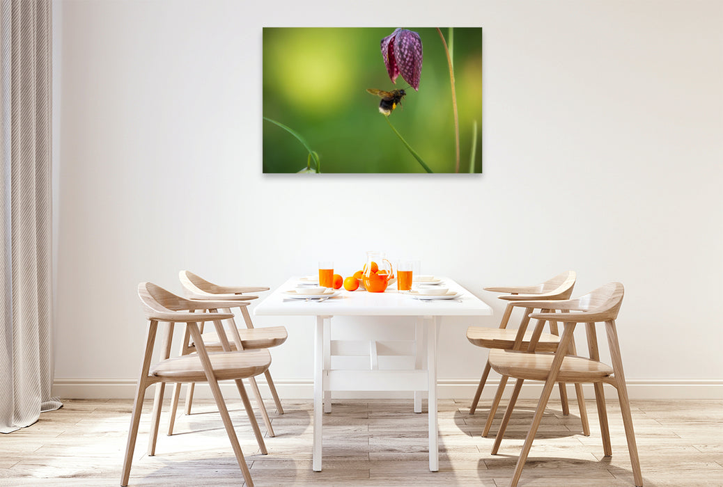 Premium Textil-Leinwand Rendez-Vous mit einer Schachbrettblume