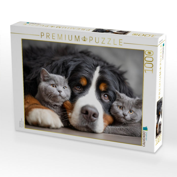 Verbindung - CALVENDO Foto-Puzzle'