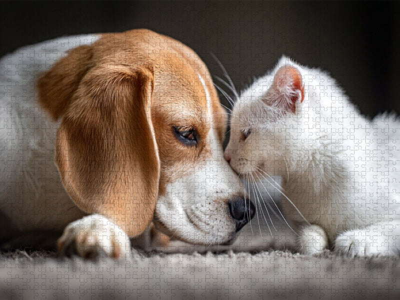 Leidenschaft - CALVENDO Foto-Puzzle'