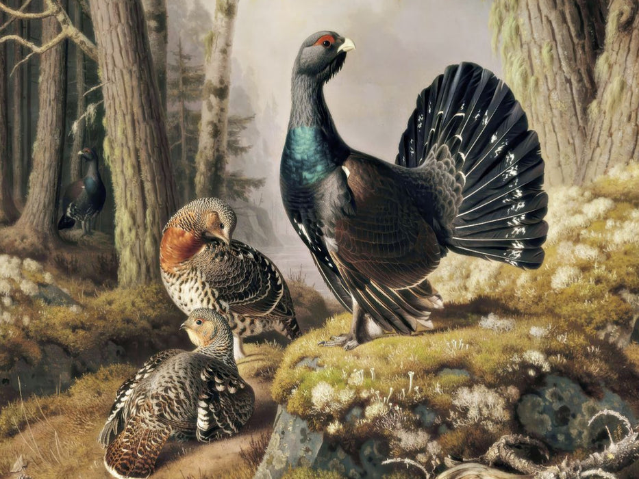 Lerne von der Geschwindigkeit der Natur. - CALVENDO Foto-Puzzle'