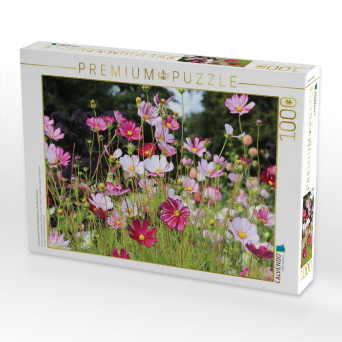 Cosmea oder Schmuckkörbchen in der Blumenwiese - CALVENDO Foto-Puzzle'