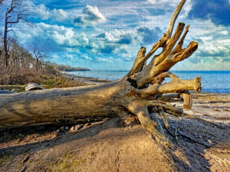 Novemberstimmung am Ostseestrand von Beckerwitz - CALVENDO Foto-Puzzle'
