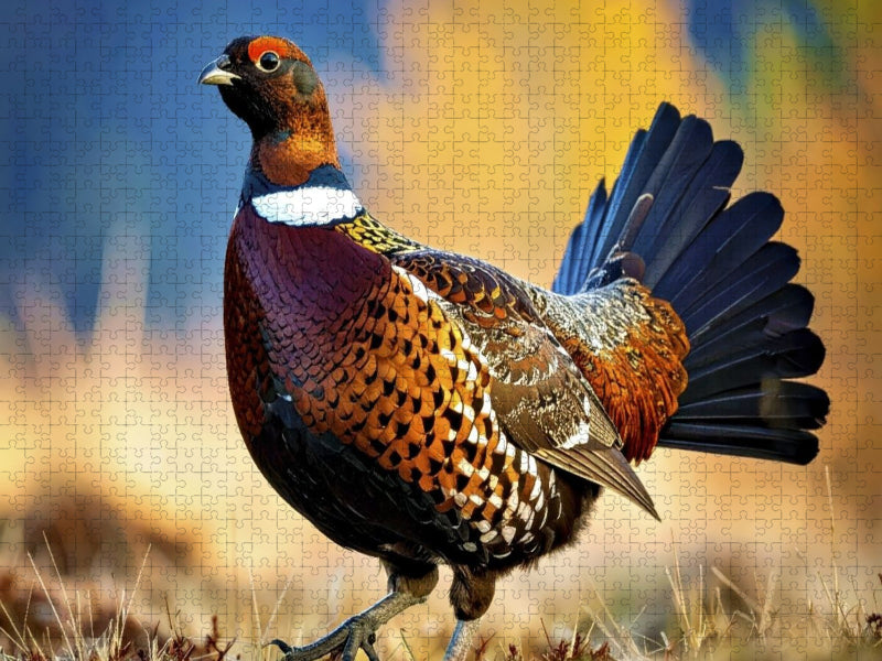 Wandern ist die vollkommenste Art der Fortbewegung. - CALVENDO Foto-Puzzle'