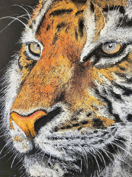 Im Blick des Tigers - CALVENDO Foto-Puzzle'