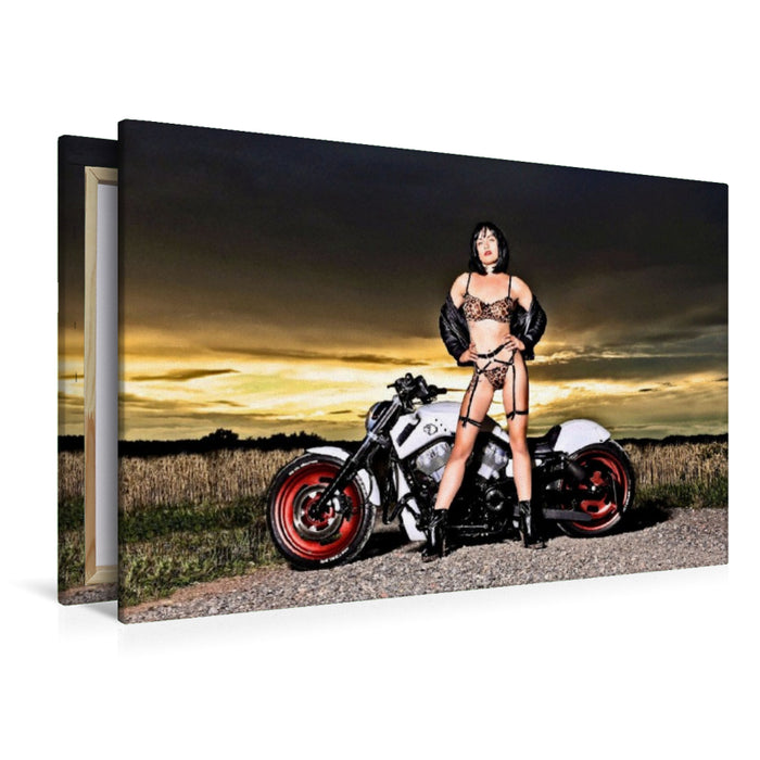 Premium Textil-Leinwand Titelbild VRSCB V-ROD mit Martina J