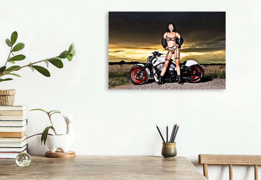 Premium Textil-Leinwand Titelbild VRSCB V-ROD mit Martina J