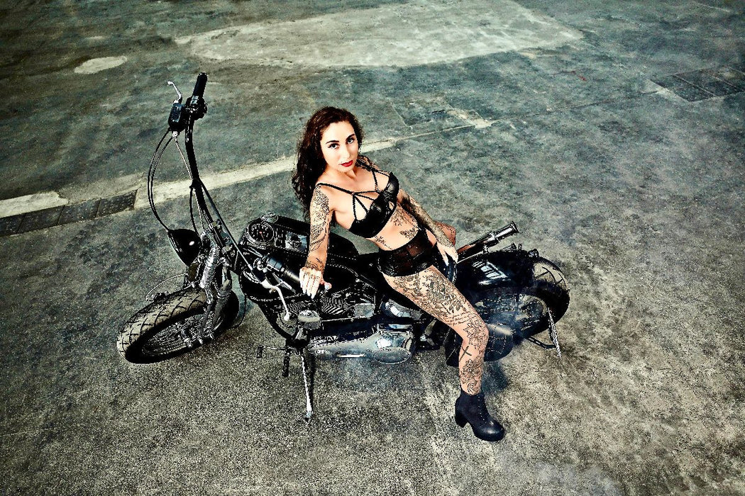 Premium Textil-Leinwand Softail Springer Evolution Bj.1995 mit Venja Virga