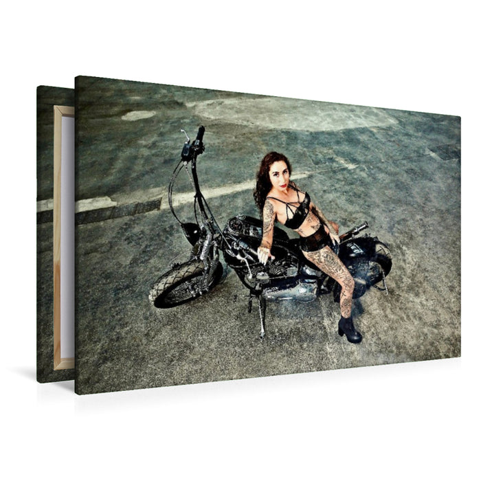 Premium Textil-Leinwand Softail Springer Evolution Bj.1995 mit Venja Virga