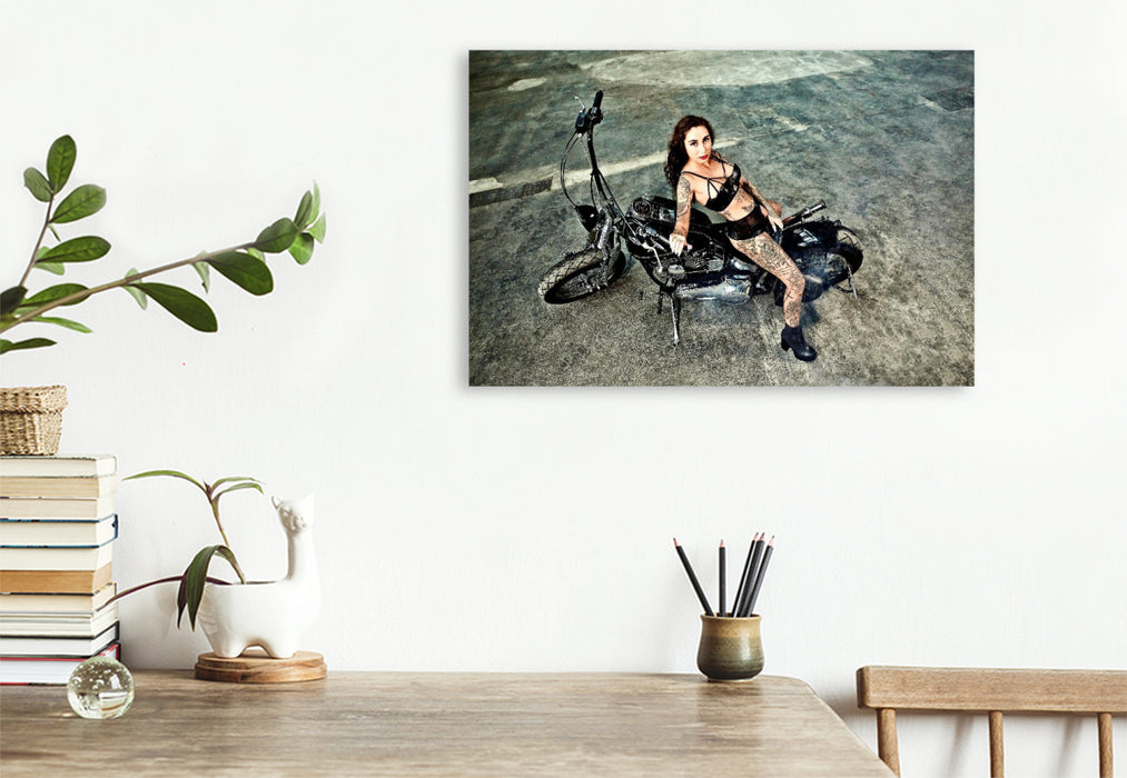 Premium Textil-Leinwand Softail Springer Evolution Bj.1995 mit Venja Virga