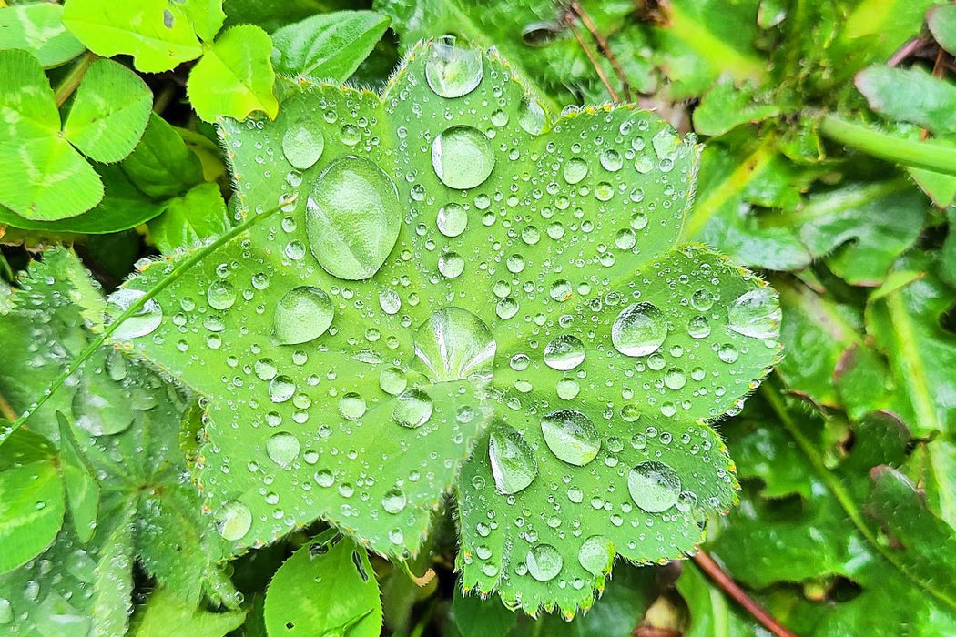 Premium Textil-Leinwand Innehalten im Kleinen