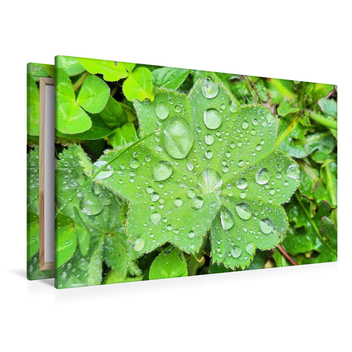 Premium Textil-Leinwand Innehalten im Kleinen