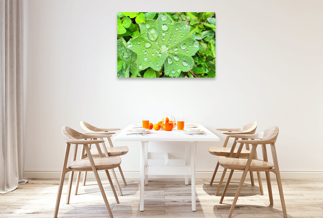 Premium Textil-Leinwand Innehalten im Kleinen