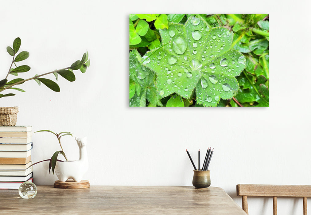 Premium Textil-Leinwand Innehalten im Kleinen