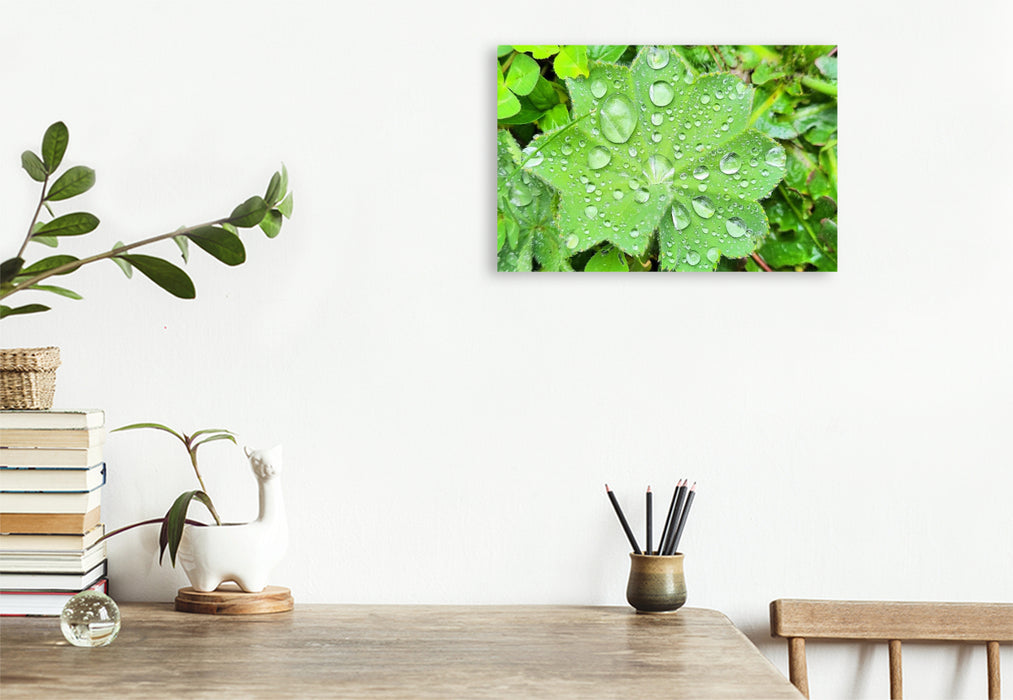 Premium Textil-Leinwand Innehalten im Kleinen