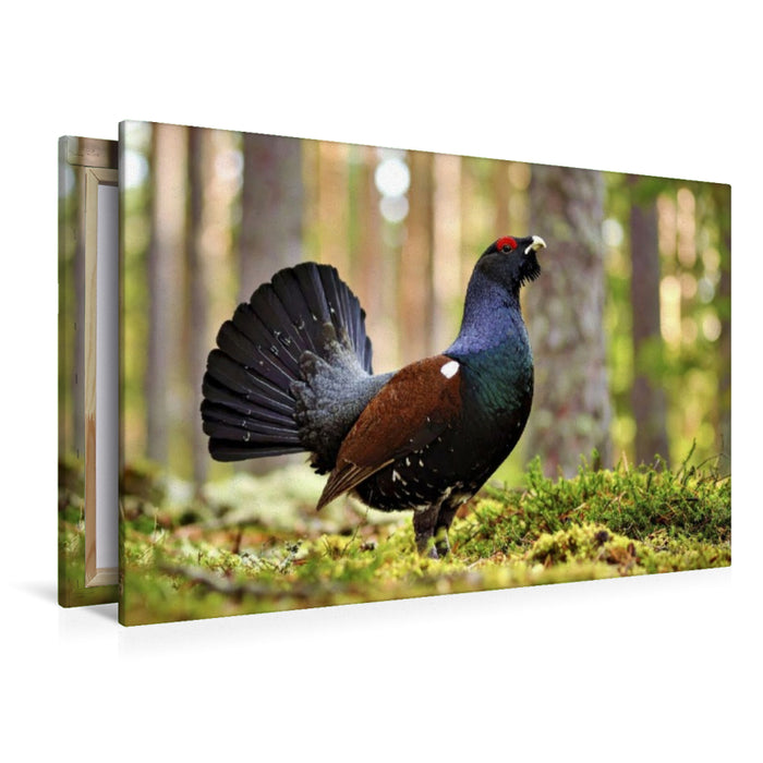 Premium Textil-Leinwand Lerne von der Geschwindigkeit der Natur.